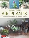 Living with Air Plants: A Beginner's Guide to Growing and Displaying Tillandsia