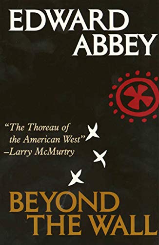 Beyond the Wall: Essays from the Outside