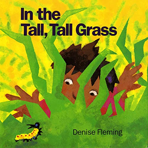 Book Cover In the Tall, Tall Grass