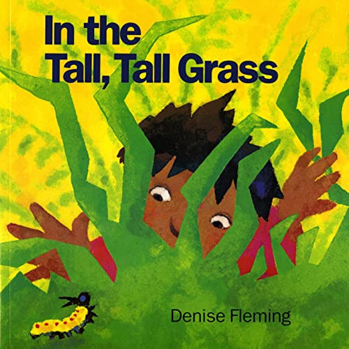 Book Cover In the Tall, Tall Grass