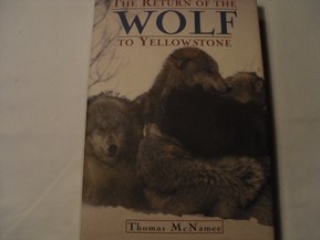 The Return of the Wolf to Yellowstone