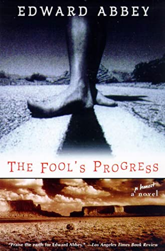 Book Cover The Fool's Progress: An Honest Novel