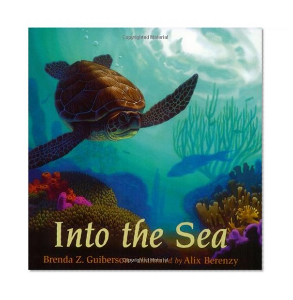 Into the Sea