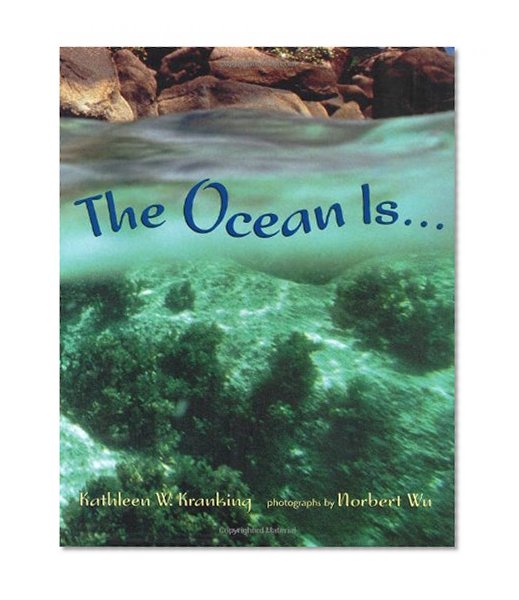 The Ocean Is...