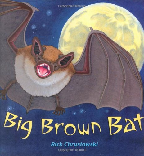 Big Brown Bat