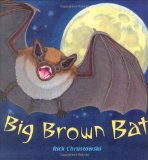 Big Brown Bat