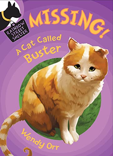 MISSING! A Cat Called Buster (Rainbow Street Shelter)