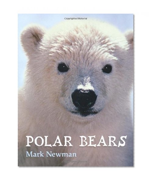 Polar Bears