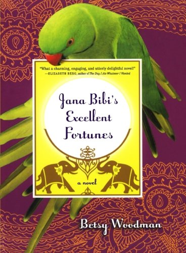 Jana Bibi's Excellent Fortunes: A Novel (Jana Bibi Adventures)