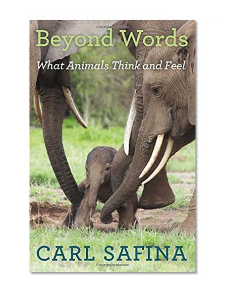 Beyond Words: What Animals Think and Feel