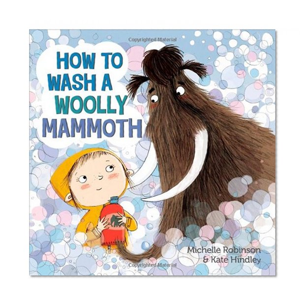 Book Cover How to Wash a Woolly Mammoth