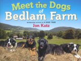 Meet the Dogs of Bedlam Farm