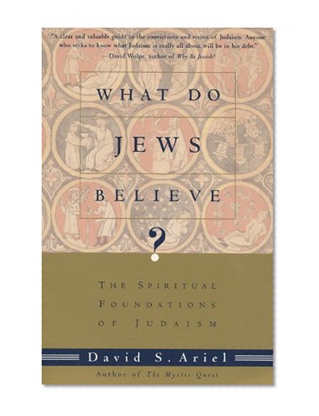Book Cover What Do Jews Believe?: The Spiritual Foundations of Judaism