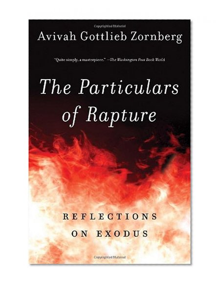 The Particulars of Rapture: Reflections on Exodos