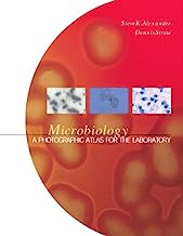 Book Cover MICROBIOLOGY: PHOTOGRAPHIC VOIR 30380 532732