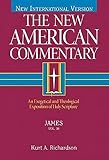 James: An Exegetical and Theological Exposition of Holy Scripture (New American Commentary)