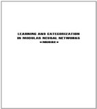 Learning and Categorization in Modular Neural Networks