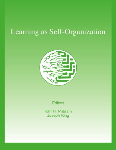 Learning As Self-organization (INNS Series of Texts, Monographs, and Proceedings Series)