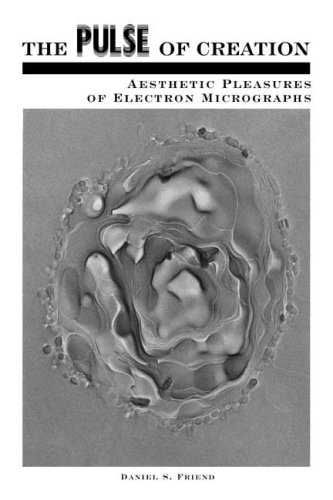 The Pulse of Creation: Aesthetic Pleasures of Electron Micrographs