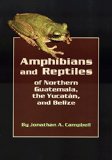 Amphibians and Reptiles of Northern Guatemala, the Yucatan, and Belize (Animal Natural History Series)