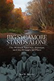 Big Sycamore Stands Alone: The Western Apaches, Aravaipa, and the Struggle for Place (New Directions in Native American Studies Series)