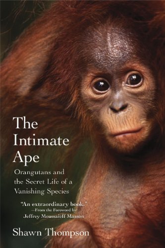 The Intimate Ape: Orangutans and the Secret Life of a Vanishing Species