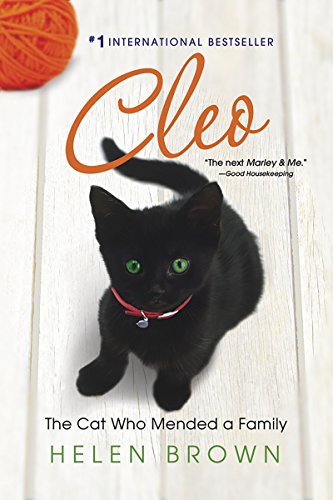 CLEO: The Cat Who Mended a Family