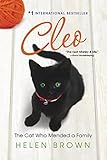 CLEO: The Cat Who Mended a Family