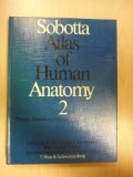 Atlas of Human Anatomy: Thorax, Abdomen, Pelvis, Lower Extremities, Skin - English Names v. 2