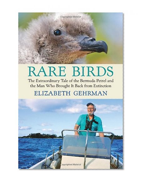 Rare Birds: The Extraordinary Tale of the Bermuda Petrel and the Man Who Brought It Back from Extinction