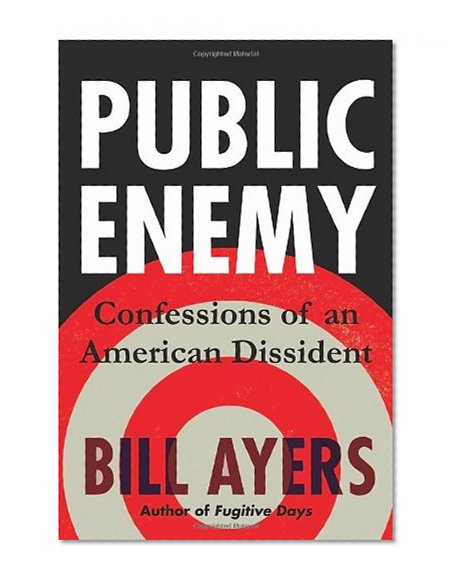 Public Enemy: Confessions of an American Dissident