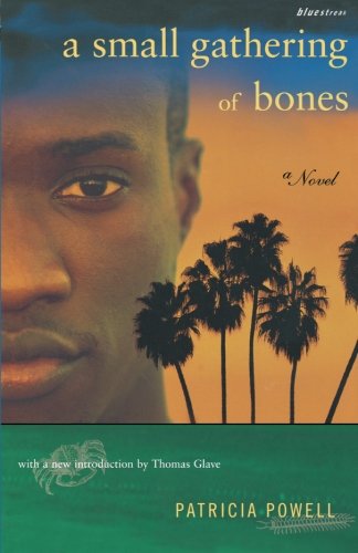 A Small Gathering of Bones (Bluestreak)