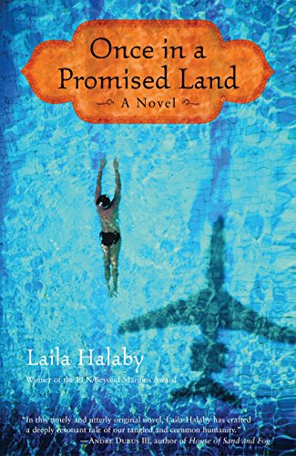 Book Cover Once in a Promised Land: A Novel