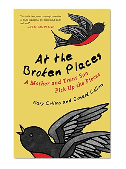 At the Broken Places: A Mother and Trans Son Pick Up the Pieces (Queer Action/Queer Ideas, a Unique Series Addressing Pivotal Issues Within the Lgbtq Movement)