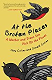 At the Broken Places: A Mother and Trans Son Pick Up the Pieces (Queer Action/Queer Ideas, a Unique Series Addressing Pivotal Issues Within the Lgbtq Movement)