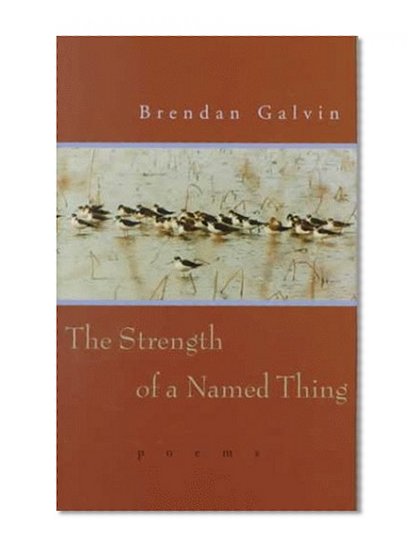 Strength of a Named Thing: Poems