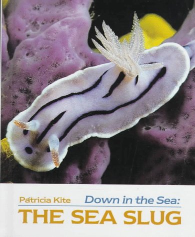Down in the Sea: The Sea Slug (Down in the Sea)
