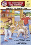 A Present for Grandfather (Boxcar Children Early Reader #2) (The Adventures of Benny & Watch)