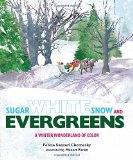 Sugar White Snow and Evergreens: A Winter Wonderland of Color