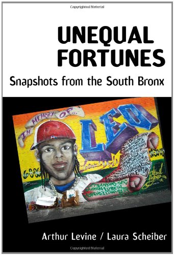 Unequal Fortunes: Snapshots from the South Bronx