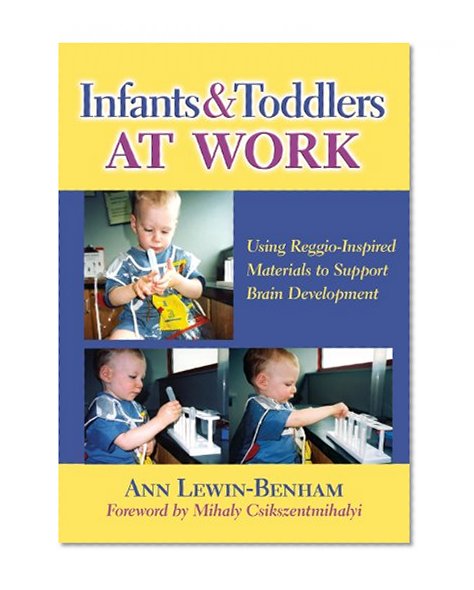Infants and Toddlers at Work: Using Reggio-Inspired Materials to Support Brain Development (Early Childhood Education)