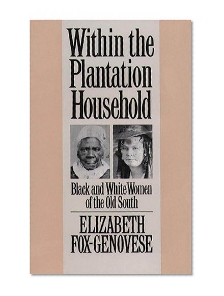 Within the Plantation Household: Black and White Women of the Old South (Gender and American Culture)