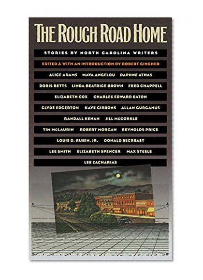 Rough Road Home (Proceedings of Spie; 1461)