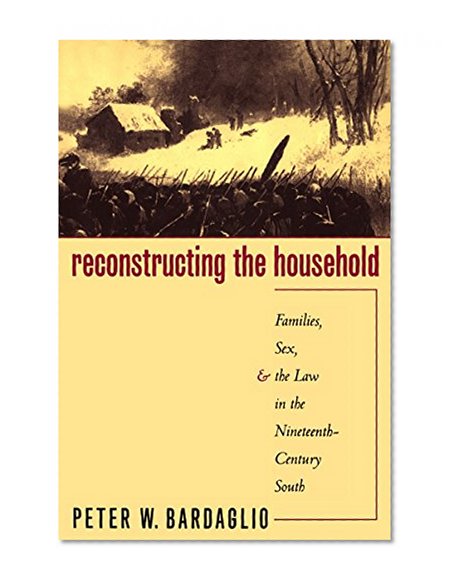 Reconstructing the Household: Families, Sex, and the Law in the Nineteenth-Century South (Studies in Legal History)