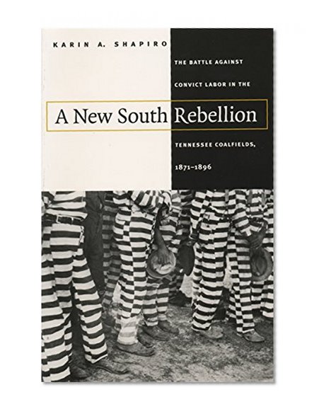 A New South Rebellion: The Battle against Convict Labor in the Tennessee Coalfields, 1871-1896 (Fred W. Morrison Series in Southern Studies)