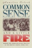 Common Sense and a Little Fire: Women and Working-Class Politics in the United States, 1900-1965 (Gender and American Culture)