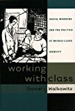 Working with Class: Social Workers and the Politics of Middle-Class Identity