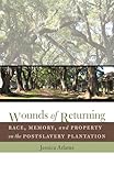 Wounds of Returning: Race, Memory, and Property on the Postslavery Plantation (New Directions in Southern Studies)
