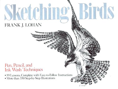 Sketching Birds