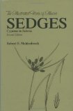 Sedges: Cyperus to Scleria (Illustrated Flora of Illinois)